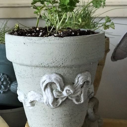 Grey chalk-painted herb pot with a B14 Ribbed Bow Efex flexible moulding on the front, planted with parsley